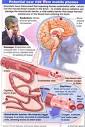 healthy lifestyle - protect yourself against electromagnetic ...
