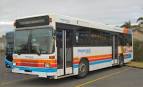 Omnibus Society - Stagecoach Auckland MAN SL202 Buses