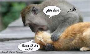 صور ...تفطس ..ضحك images?q=tbn:ANd9GcT