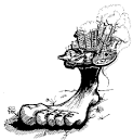 What is an ecological footprint?