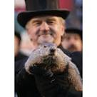Punxsutawney Phil makes