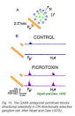 Ganglion Cell Physiology – Webvision