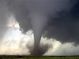 images?q=tbn:ANd9GcTPJrQ62QMyzafcml5787jegnFJpk455q9U0kEyInJF0nEsE1vTag