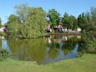The pond on the edge of the - via Daymix