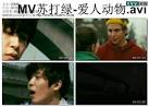 苏打绿- 爱人动物MV/50MB