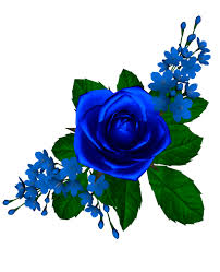 صور زهور زرقاء جميلة لتزيين المواضيع Images?q=tbn:ANd9GcTPoIH77eWja8OtIW6kTRbpW9rH6jgFJ3PIkv95lGp_9F5-2ffw