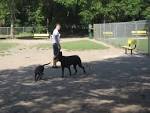 Pasco County, FL - Official Website - Dog Parks