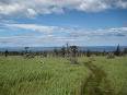 Skyline Trail (Cape Breton Highlands National Park) - Wikipedia ...