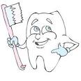 Best Dentist Directory | Your source for the best dentists online