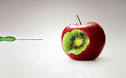  Advertising : Polident Denture Care: Pear, Apple & Sugarcane ... 