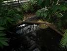 Some rogue crocs have been - via Daymix