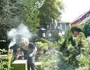 Urban Beekeeping   How to Be an Urban Beekeeper   The Daily Green