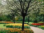 Beautiful parks | Beauty Places