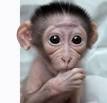 Becca Hawkins (rebeccadawn329) on Pinterest