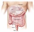 Frequent Bowel Movements - a comprehensive view - Wellsphere