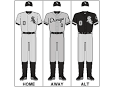 Chicago WHITE SOX - Wikipedia, the free encyclopedia