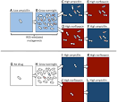 A radical source of antibiotic resistance… « mental indigestion