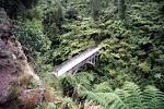 Datei:BRIDGE TO NOWHERE.jpg – Wikipedia