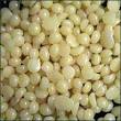  Candelilla Wax is vegan | Vegan.