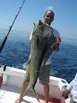 220px-Mahi_mahi_costa_rica.jpg
