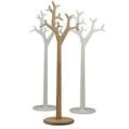 Michael Young and Katrin Petursdottir Tree Coat Hanger