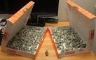 Man with $137 traffic ticket pays with 137 origami pigs in two