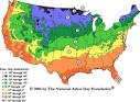 Hardiness Zone Search » Bougainvillea Growers International