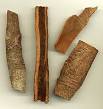 Cinnamomum aromaticum - Wikipedia, the free encyclopedia