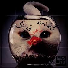 ♫رپ سرا♫ 
