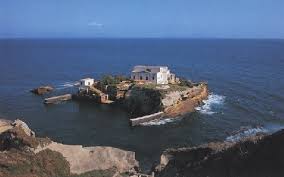 http://t1.gstatic.com/images?q=tbn:ANd9GcTRpXVS0cOxpBRVv7nAdbVsYrOP9sFXCAX1MC_Gsh1RoyLSqsEKSQ
