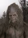 WARNING: SASQUATCH ON THE