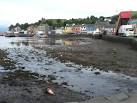 front here is a fair that was modest in size but immodest in loudness, - via Daymix