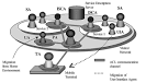 Communication Channels :: communication