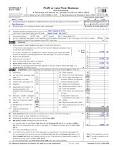 2008 Form 1040 (Schedule C)