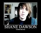 shane yaw
