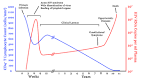 At this point an <b>HIV</b>-<b>infected</b>