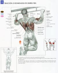Necesito tuberia resistente
