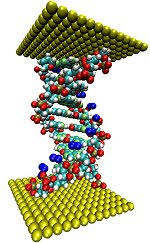 metallic quantum wire, semiconductor quantum wire, insulating quantum wire, molecular quantum wire, quantum wire arrays, quantum wire, alumina quantum wire, bismuth quantum wire, boron quantum wire, cadmium selenide quantum wire, copper quantum wire, gallium nitride quantum wire, gold quantum wire, gallium phosphide quantum wire, germanium quantum wire, indium phosphide quantum wire, magnesium oxide quantum wire, manganese oxide quantum wire, nickel quantum wire, palladium quantum wire, platinum quantum wire, silicon quantum wire, silicon carbide quantum wire, silicon nitride quantum wire, titanium dioxide quantum wire, zinc oxide quantum wire, 