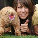 I've always had dogs with long