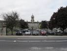 mental health services see - via Daymix