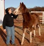 food-and-farm-horse-s_lea.jpg