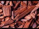 Cops mull PD Act amendment to book red sanders smugglers - WorldNews
