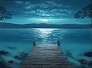 Your Dreams Will Be Free - Portal