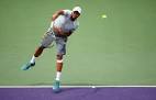 afp-triumphant-return-for-tsonga.jpg