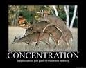 Concentration picture by Fuileadan - Photobucket