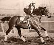 Seabiscuit - Wikipedia