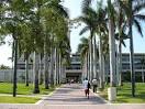 University of Miami - College Prowler