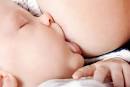 breastfeeding-pierced-nipples.jpg Most women will remove the ring and ... - brerastfeeding_baby