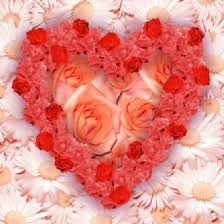 http://t1.gstatic.com/images?q=tbn:ANd9GcTUVZpWIXMIgn0-kghb5-7jKfbJpU4Y67xiGmCdLfwxJImTum51
