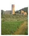 Vintage Direct - Umbria